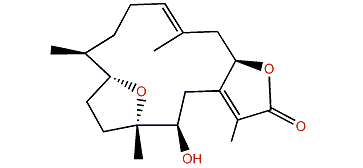 Pachyclavulariolide N